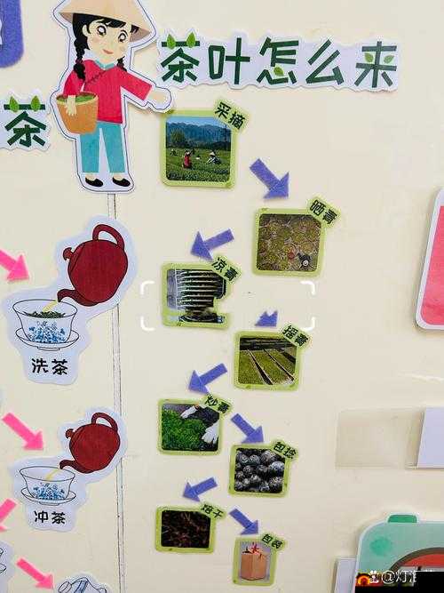 奇妙小茶园品茶的过程解析及其在资源管理中的重要性