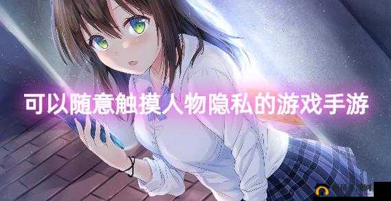 可以随意触摸人物隐私的游戏手游:畅享别样互动体验