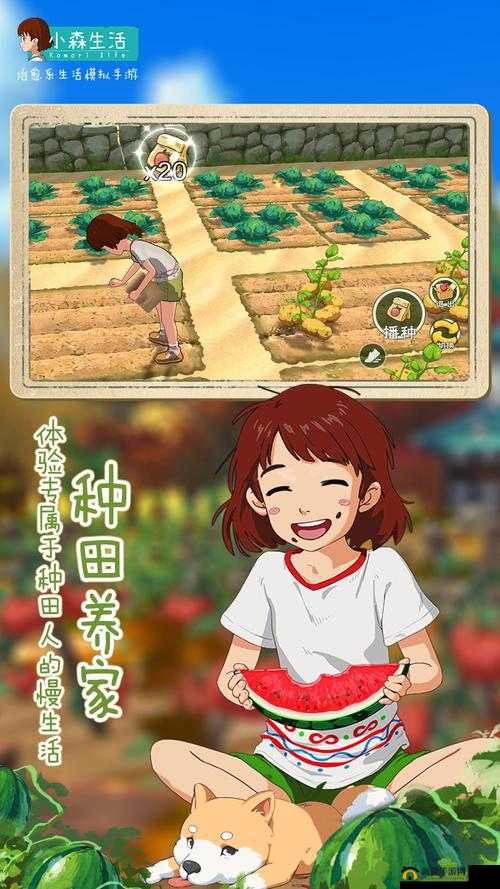 来小森的世界里从事农业种植农作物吧,资源管理的艺术