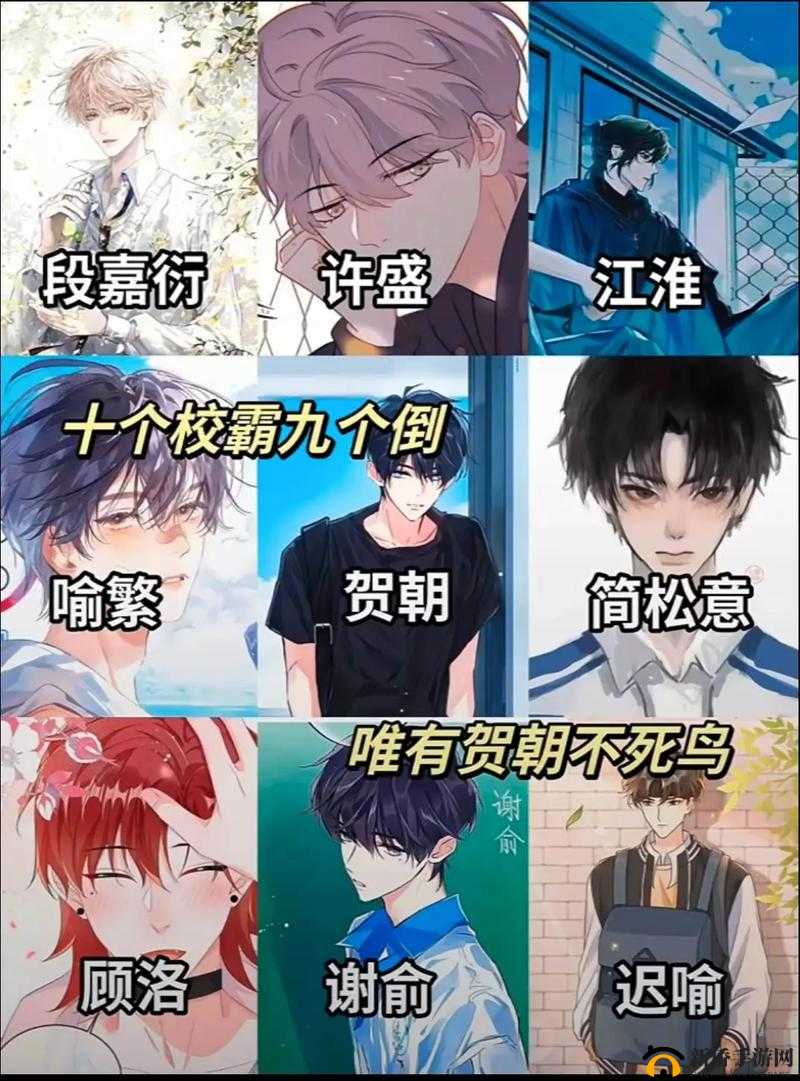 共享校霸 BY :青春校园里的热血与成长故事