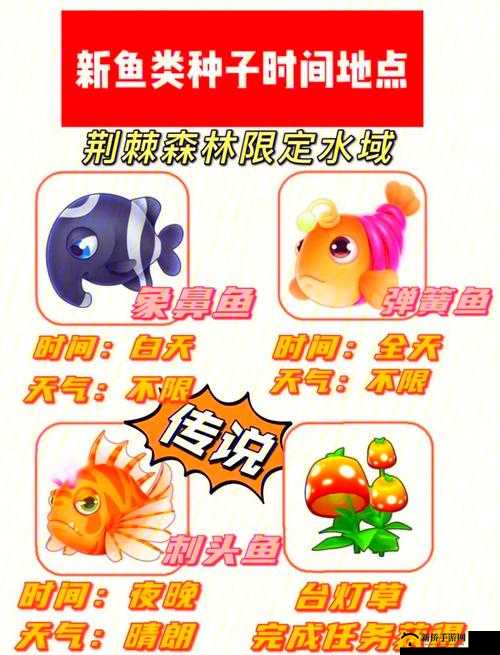摩尔庄园新物种探索,象鼻鱼的奇妙之旅