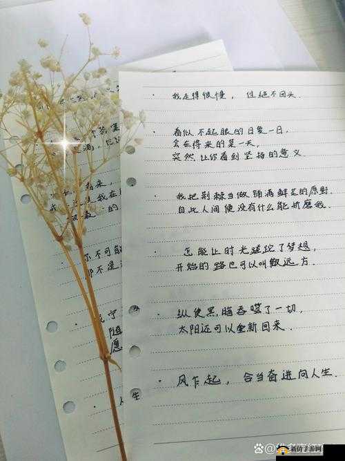 余烬风暴,在灰烬中重生的生活艺术