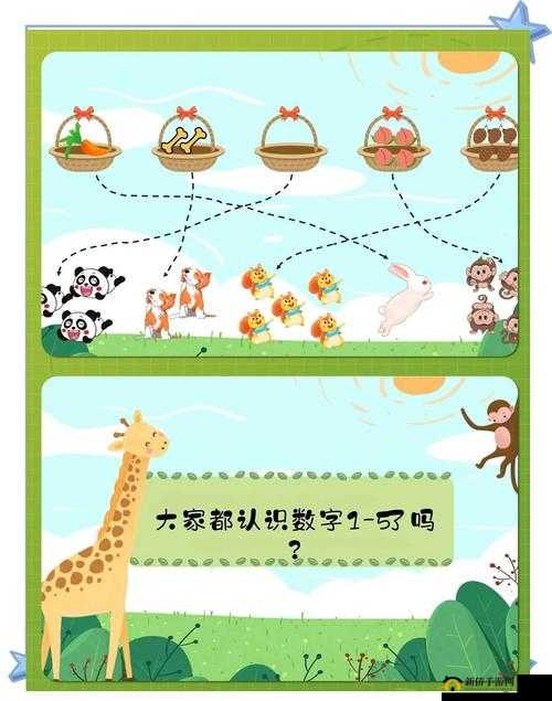 数学乐园,激发幼儿数学潜能的奇妙之旅