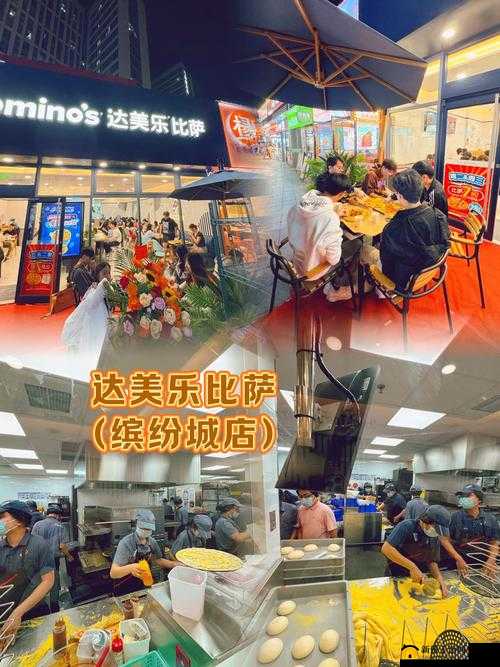 托卡披萨店，烘焙梦想，点燃味蕾的创业之旅