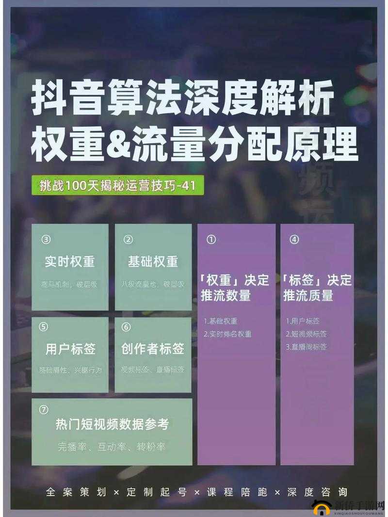 后 SEO 短视频页入口引流:打造高效流量引入策略与技巧