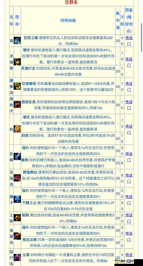 赛尔特大陆宠物玩法全揭秘,如何挑选你的最佳伙伴