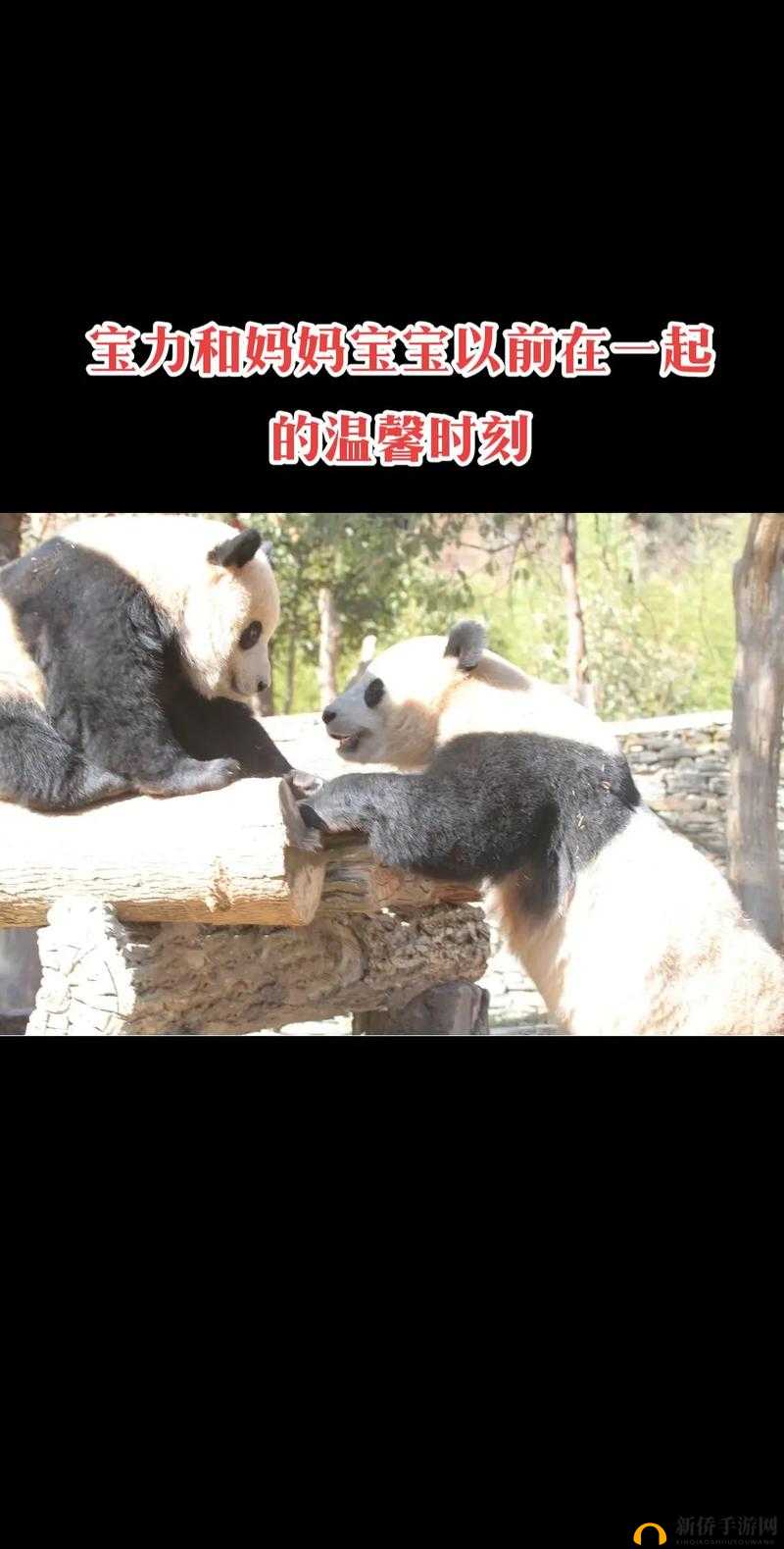 虚拟母亲怎样才能更好的照顾新生宝宝在资源管理中的重要性及策略