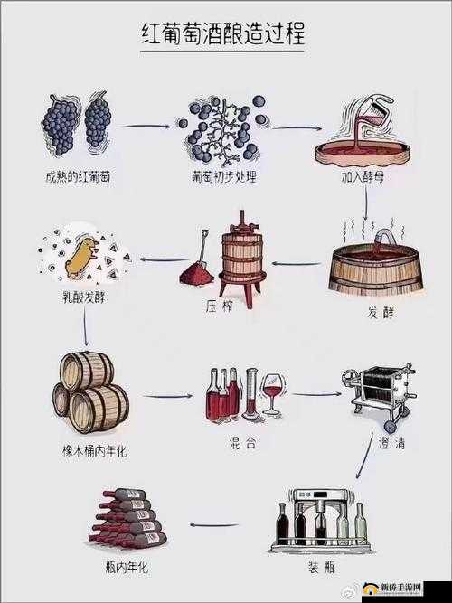 酿葡萄酒大师酿制美味可口的葡萄酒的终极秘诀,资源管理的艺术