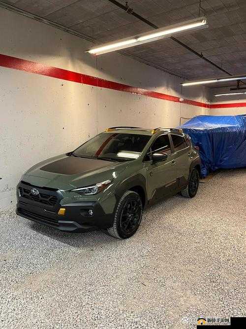 欧美无人区码 SUV:极致荒野探索之旅