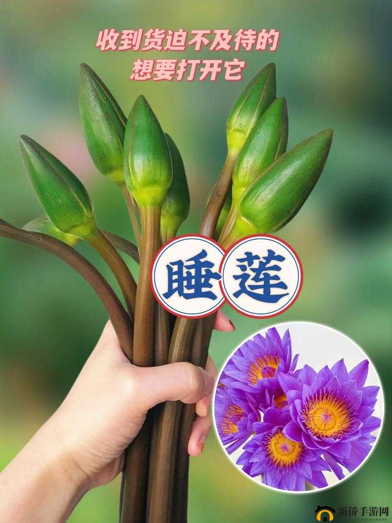 女人半夜莲花开很难受怎么办？专家分享有效缓解方法与实用建议