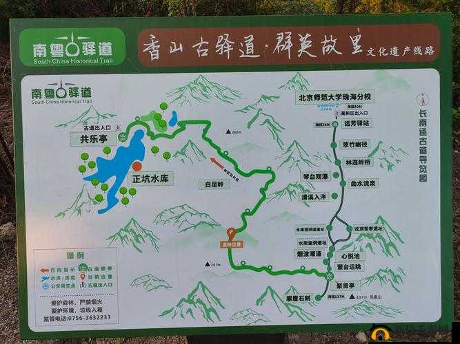 全民奇迹2古树小径任务怎么完成？全面揭秘古树小径位置全攻略