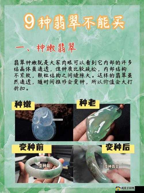 翡翠大师怎么快速升级？快速升级技巧攻略