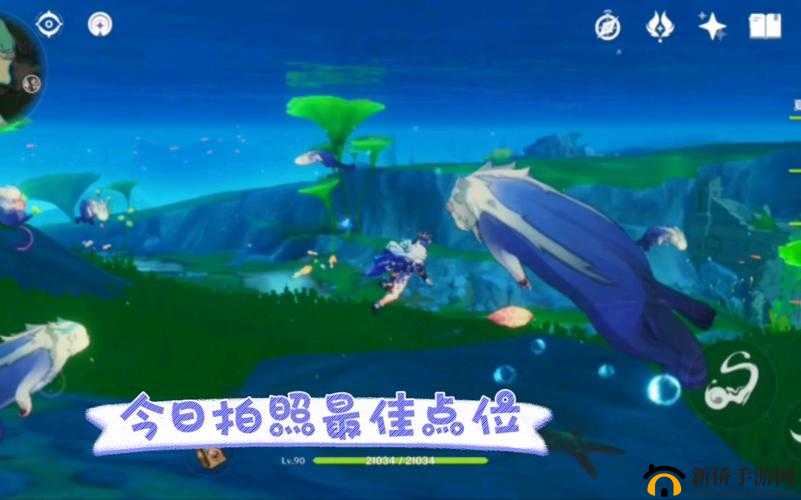 原神带有蓝色的生物位置大全，福至五彩第二天蓝色生物拍照位置一览