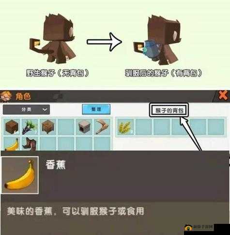 迷你世界豹子驯服、食物及召唤的演变史专题