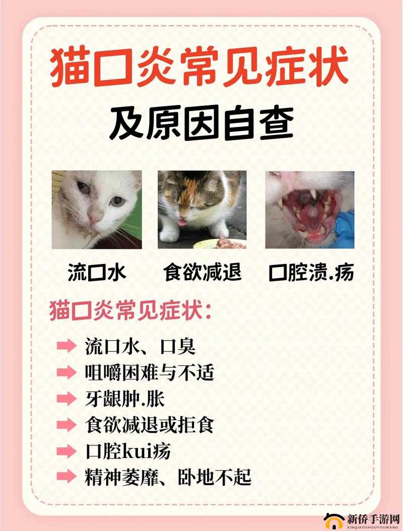猫咪感冒会流口水吗？了解猫咪感冒症状及流口水的原因与应对方法