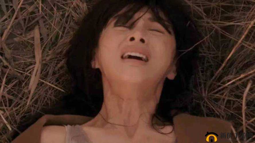 日本 XX 级片：挑战人类极限的成年人影片