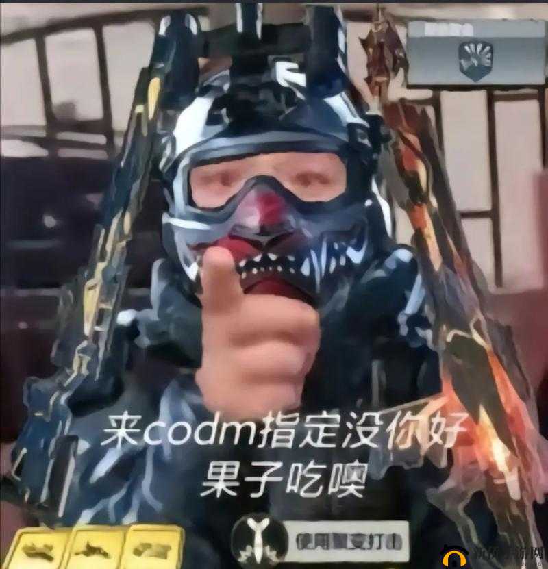 使命召唤放空投弹无人小飞机怎么触发？使命召唤手游微信表情雨触发口令详解