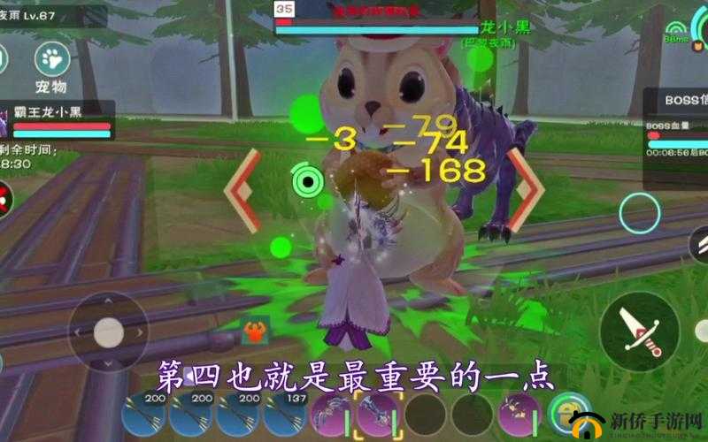 创造与魔法松鼠宠物技能怎么样？炸弹松鼠宠物值得培养吗？