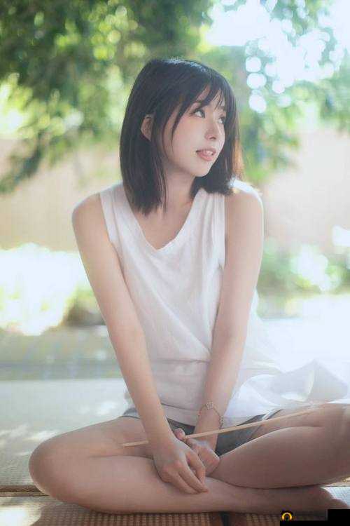 求推荐一些类似于精品一区二区三区免费髦片的网站