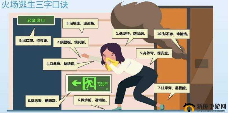 免费无码A片在线观看全指南：高清资源推荐与安全观看技巧分享