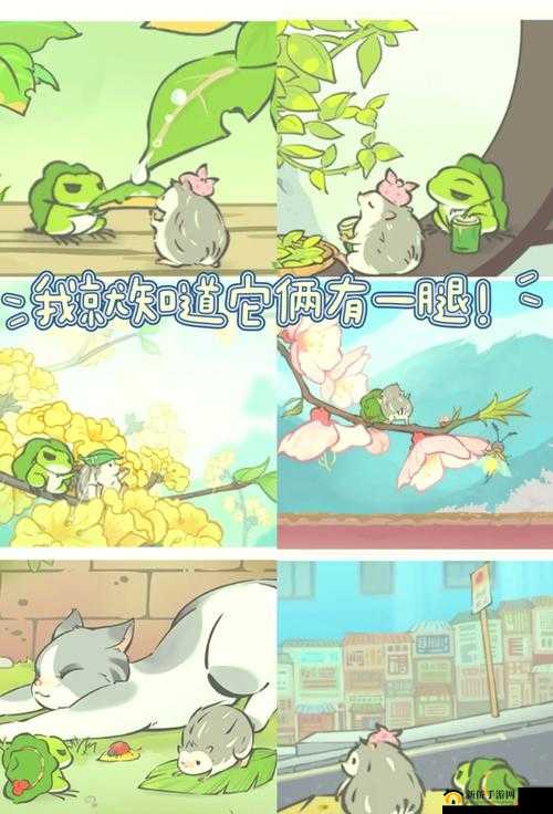 旅行青蛙中国之旅攻略大全，新手入门少走弯路