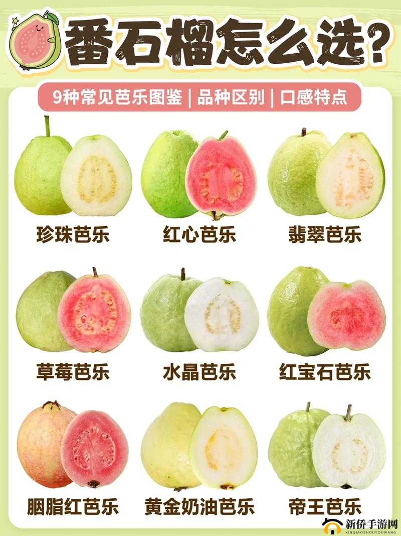 草莓丝瓜芭乐绿巨人樱桃,你了解多少?