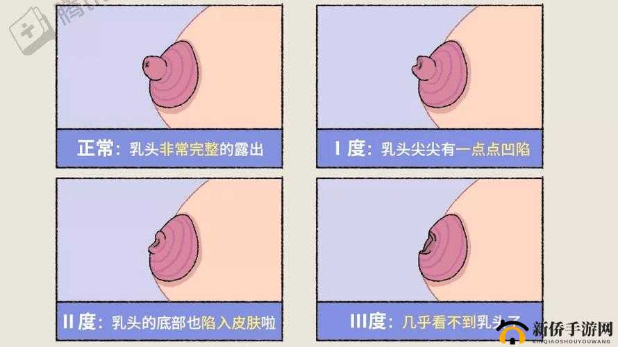 为什么男人喜欢揉女人的胸?这是一个复杂的问题,涉及到生理、心理和文化等多个方面
