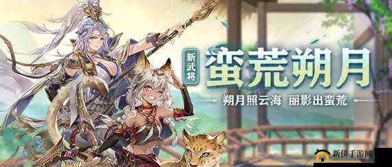 三国志幻想大陆,豹女花鬘的配队艺术
