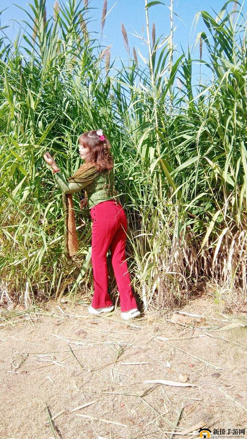 花溪村留守女人们的真实生活:她们的坚韧与梦想如何在小村庄中绽放?
