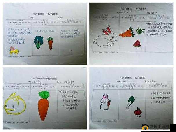月兔历险记兔子怎么快速回蘑菇村？兔子回家步骤详解