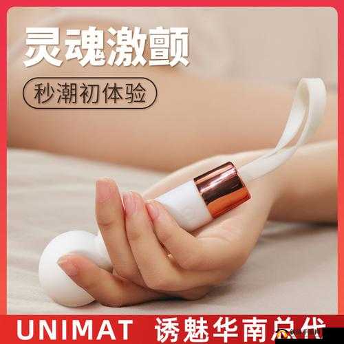 探索日本娇小XXXⅹHD成年人用品的独特魅力与使用体验,了解其设计与功能如何满足用户需求