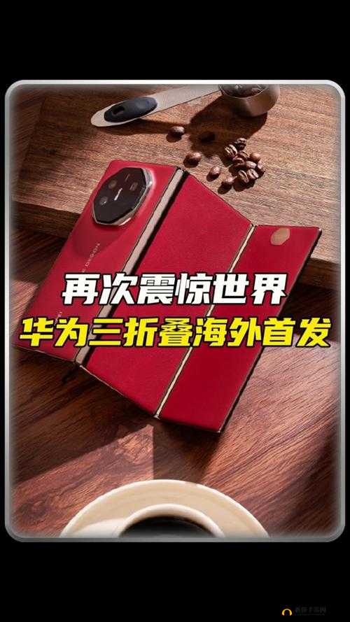 海外华为永久线路一 l:为何成为皇冠上的明珠?