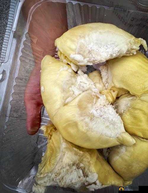 魔兽世界熟透的榴莲有什么用？熟透的莲榴道具获取位置大全