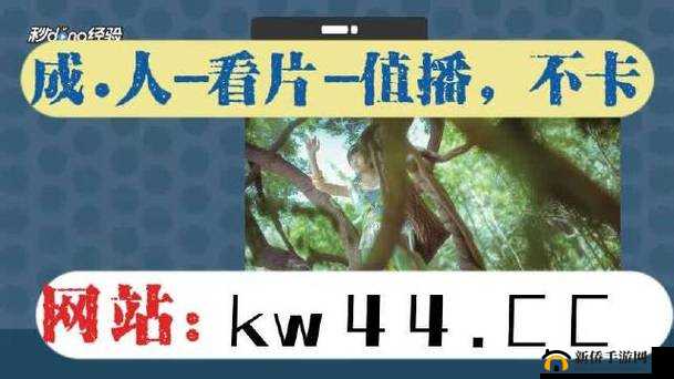 忘忧草视频影院天天爽大陆一级究竟有何独特魅力?快来一探究竟吧