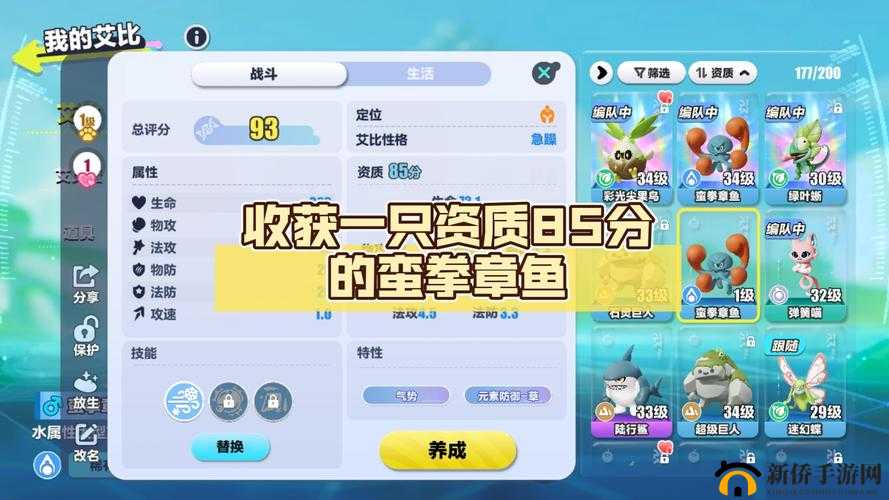 小小航海士外传章鱼在哪里买？章鱼购买位置介绍