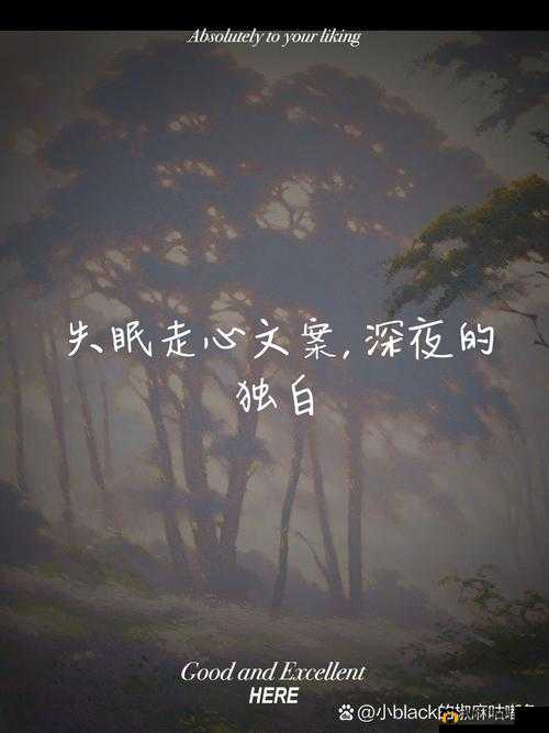 深夜释放自己:荔枝视频带你探索心灵深处的宁静与自由