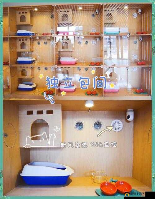 猫咪公寓客房满意度怎么达到100%？房客满意度100%布置方法分享