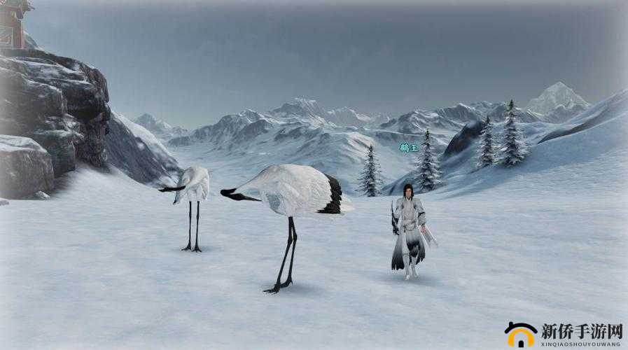 天刀手游鹤唳秦川怎么过？养鹤之人奇遇选择攻略