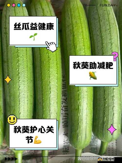 探索草莓樱桃丝瓜绿巨人秋葵番茄91的独特魅力与健康益处,了解这些果蔬的神奇功效