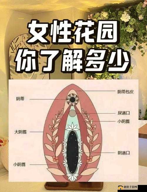 如何在女人的荒地中深耕？探索女性内心世界的秘密