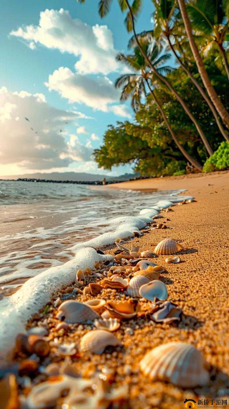 在海滩上看到了一些令人震惊的景象，你能想象吗？