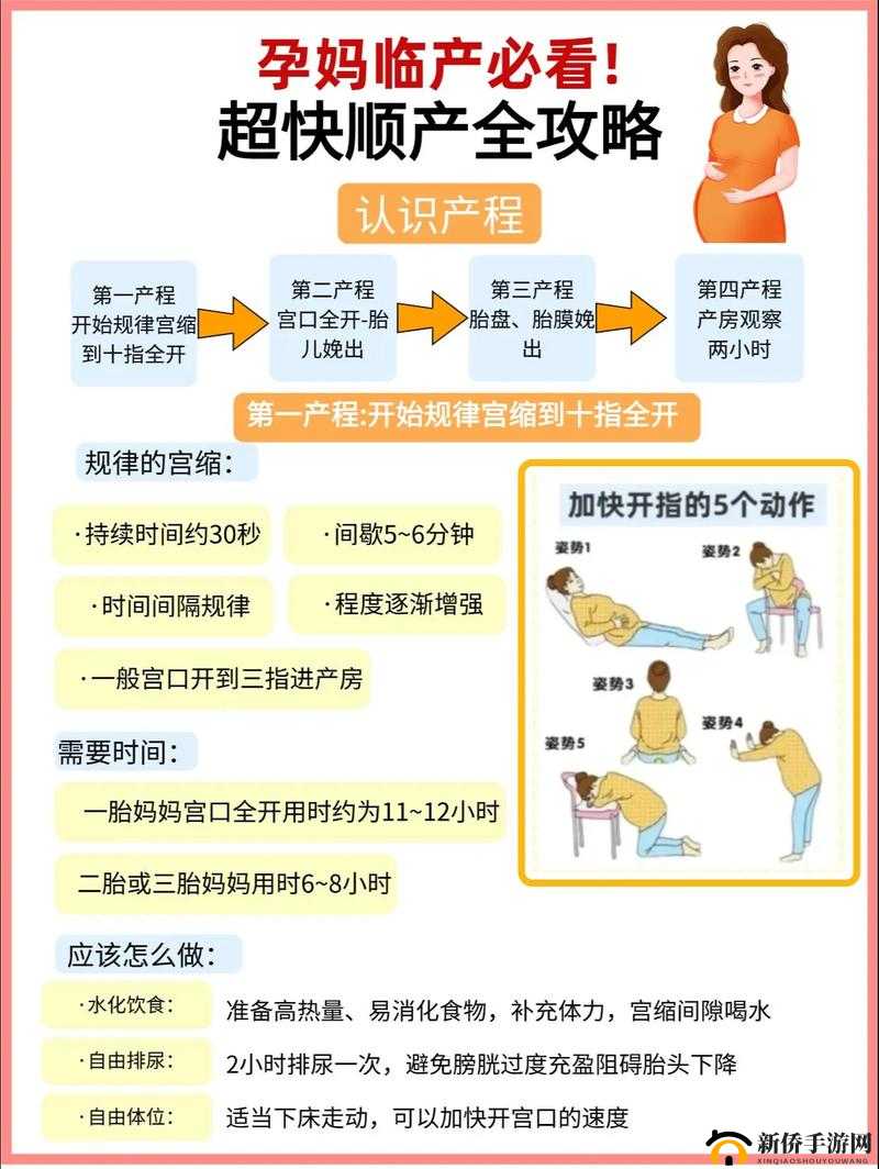 给儿子生孩子的准备指南：全面解析备孕、孕期及育儿关键步骤