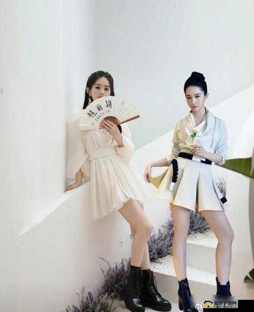 明星异梦刘亦菲：揭秘她背后的神秘梦境与真实生活的惊人联系