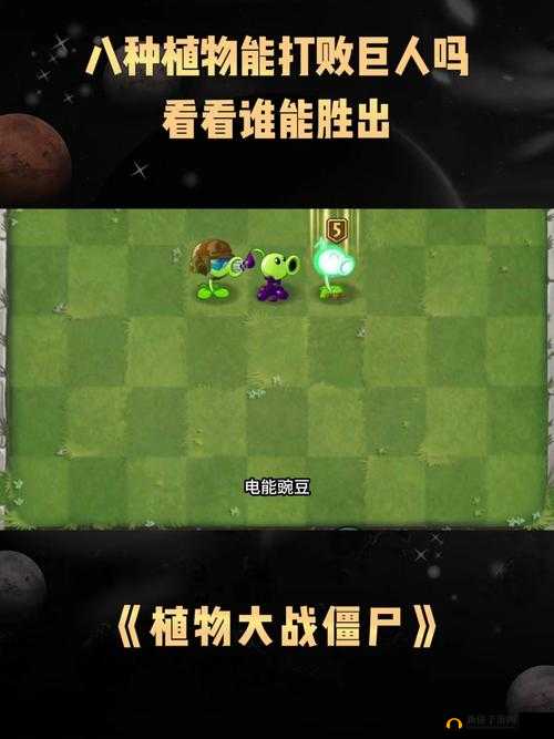 为什么草莓、香蕉、丝瓜和绿巨人这四种植物会被同时提及？它们之间有什么关联吗？