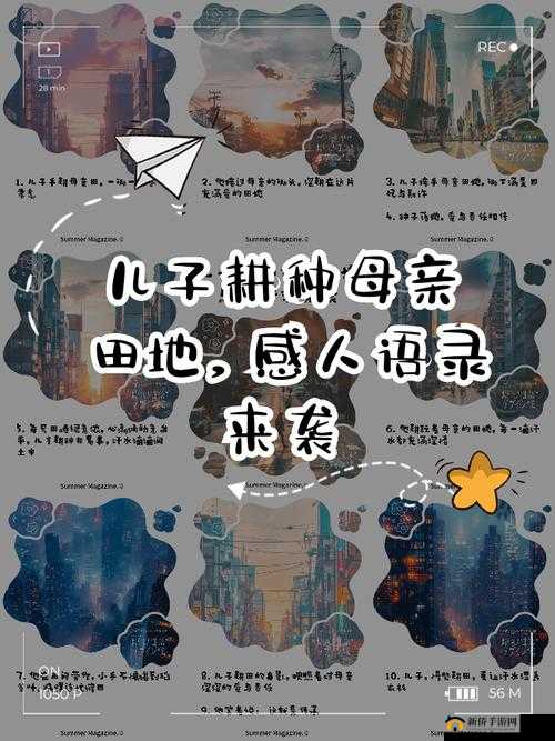 儿子耕种母亲的田地叫什么名？传统家庭农业文化解析与当代意义探讨