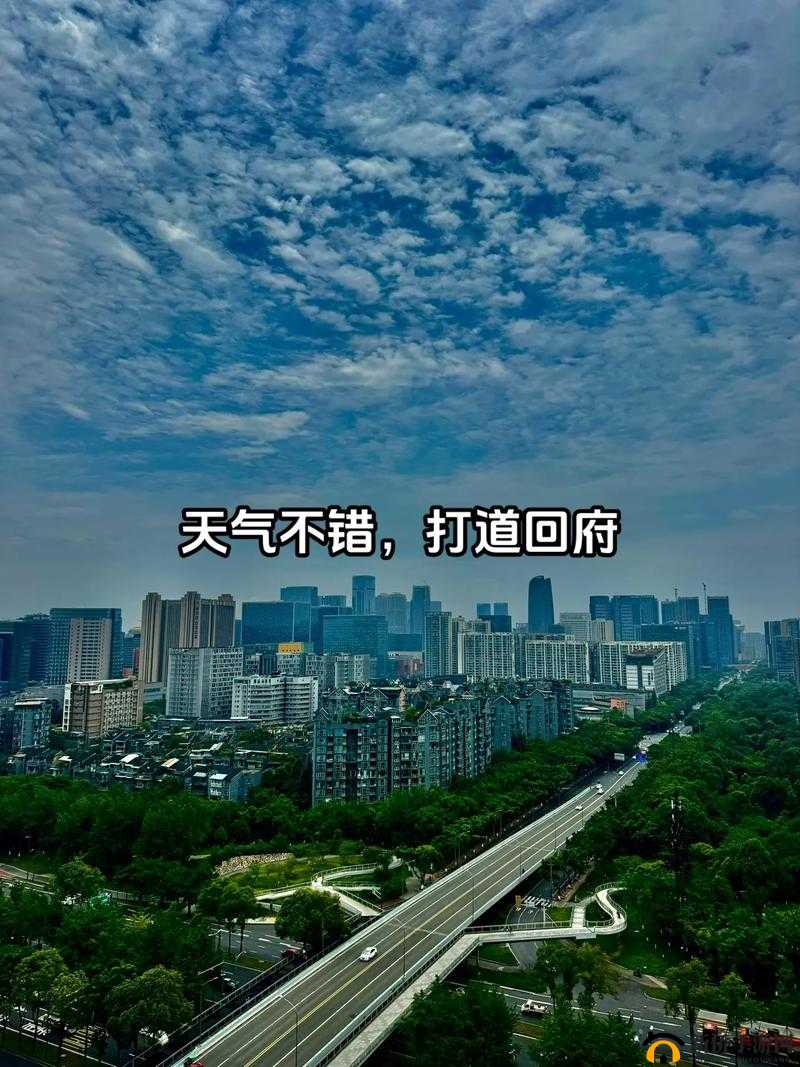 提问：2024 年回家的路在技术讨论区将有怎样的探讨与发展？或者：2024 年回家的路，技术讨论区中大家都在关注哪些方面？