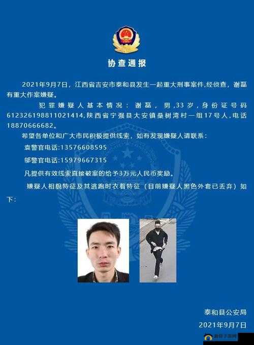 犯罪大师行李箱藏尸案，揭秘高仲的罪恶之路