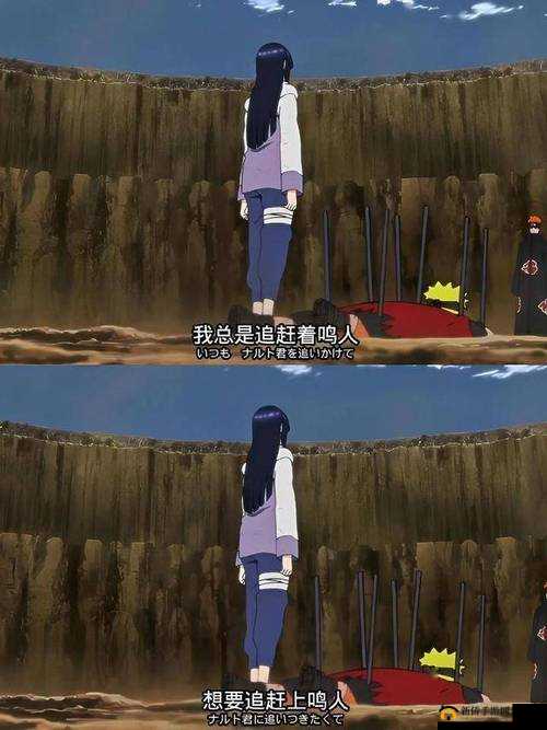 佩恩为何打了雏田？这一情节背后的原因及影响究竟是什么？