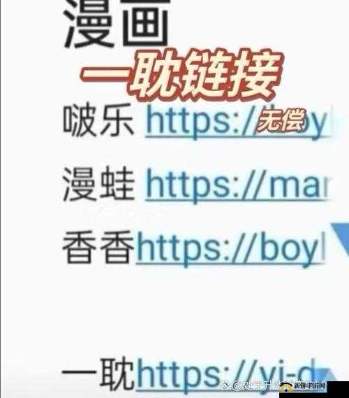 一耽下载：如何安全高效地获取资源？最新指南与实用技巧分享