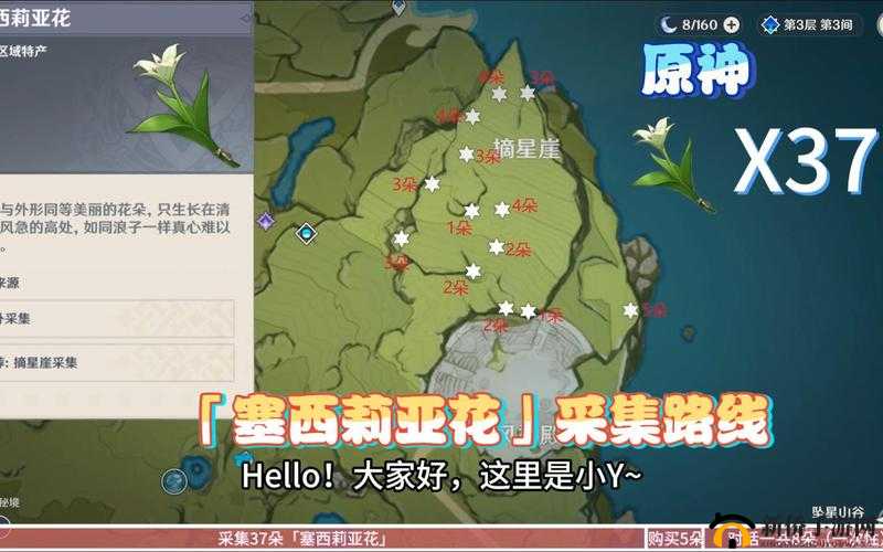 原神塞西莉亚花在什么地方？刷新位置大全